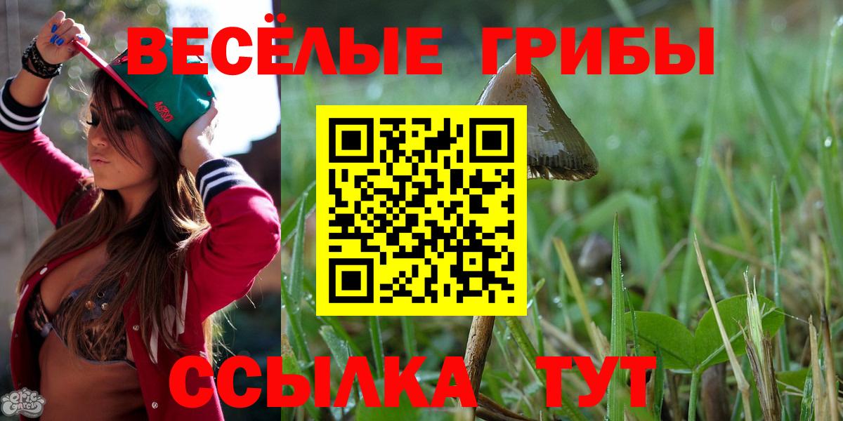 Псилоцибиновые грибы Cubensis Владикавказ